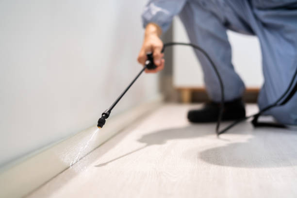 Certified termite inspector examining foundation in Littlestown