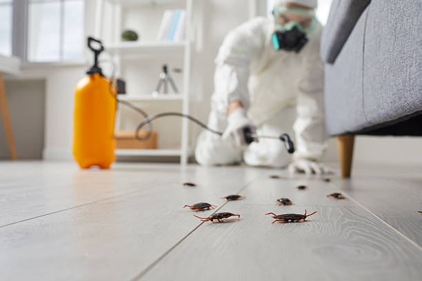 Commercial Rodent Management in Littlestown